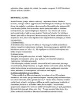 Konspekts 'Bronhektāzes. Plaušu emfizēma. Pleirīts. Bronhiālā astma. Hops. Pneimonija', 4.