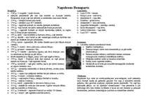 Referāts 'Napoleons Bonaparts', 1.