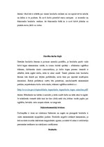 Referāts 'Darba tirgus', 6.