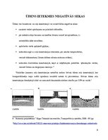 Prakses atskaite 'Ūdens ietekme uz ceļa konstrukciju', 6.
