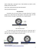 Prakses atskaite 'Ūdens ietekme uz ceļa konstrukciju', 7.