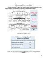 Prakses atskaite 'Ūdens ietekme uz ceļa konstrukciju', 33.