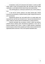 Referāts 'Administratīvais akts', 19.