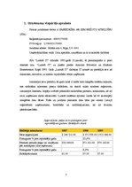 Referāts 'Uzņēmuma stratēģijas un politikas vadīšana', 3.