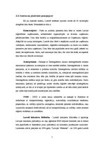 Referāts 'Uzņēmuma stratēģijas un politikas vadīšana', 7.