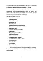 Referāts 'Uzņēmuma stratēģijas un politikas vadīšana', 8.