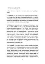 Referāts 'Uzņēmuma stratēģijas un politikas vadīšana', 11.