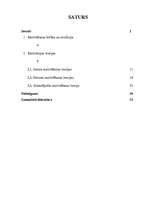 Referāts 'Motivācijas problēmas valsts pārvaldē', 1.