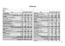 Referāts 'Finanšu analīze uzņēmumam "Lido"', 25.