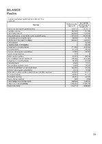 Referāts 'Finanšu analīze uzņēmumam "Lido"', 33.