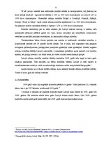 Referāts 'Demogrāfiskā situācija Latvijā un tās ietekme uz darba tirgu', 11.