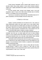 Referāts 'Demogrāfiskā situācija Latvijā un tās ietekme uz darba tirgu', 19.