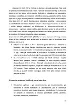 Diplomdarbs 'Interneta veikalu attīstības tendences Latvijā', 21.