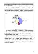 Diplomdarbs 'Interneta veikalu attīstības tendences Latvijā', 63.