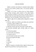 Referāts 'Māklera raksturojums', 4.