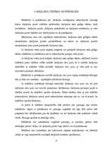 Referāts 'Māklera raksturojums', 10.