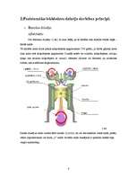 Referāts 'Jaunās paaudzes dzinēji', 5.