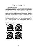 Referāts 'Jaunās paaudzes dzinēji', 9.