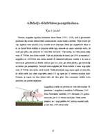 Referāts 'Jaunās paaudzes dzinēji', 11.