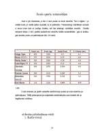 Referāts 'Jaunās paaudzes dzinēji', 13.