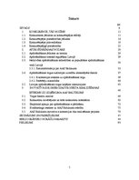 Diplomdarbs 'Inovatīva e-komercijas projekta realizēšanas ietekme uz uzņēmuma AAS "Baltikums"', 5.