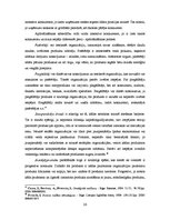 Diplomdarbs 'Inovatīva e-komercijas projekta realizēšanas ietekme uz uzņēmuma AAS "Baltikums"', 26.