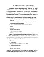 Diplomdarbs 'Inovatīva e-komercijas projekta realizēšanas ietekme uz uzņēmuma AAS "Baltikums"', 29.