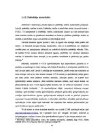 Diplomdarbs 'Inovatīva e-komercijas projekta realizēšanas ietekme uz uzņēmuma AAS "Baltikums"', 43.