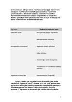 Konspekts 'Dzīvsudrabs', 2.