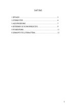 Referāts 'Stereotipi un aizspriedumi komunikācijā', 2.