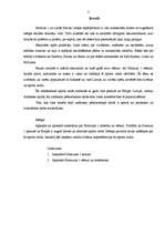 Referāts 'Formula 1 vēsture', 3.