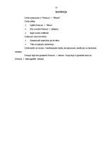 Referāts 'Formula 1 vēsture', 28.