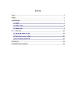 Referāts 'Valūta, tās veidi un tirgus', 2.