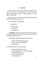 Referāts 'Valūta, tās veidi un tirgus', 8.