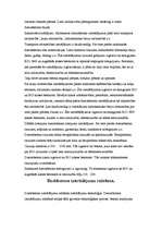 Konspekts 'Dzelzsbetons', 15.