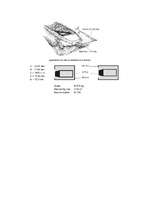 Konspekts 'Dzelzsbetons', 74.