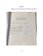 Prakses atskaite 'AS "Trasta komercbanka"', 36.