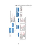 Prakses atskaite 'AS "Trasta komercbanka"', 38.