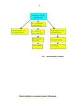 Referāts 'Access - прокат автомобилей', 5.