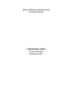 Paraugs 'Radiācijas drošība', 1.