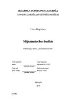 Referāts 'Mājsaimniecības budžets', 1.