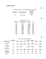Paraugs 'Transporta pakalpojumu tehnoloģisko parametru aprēķins', 4.
