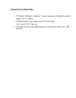 Paraugs 'Transporta pakalpojumu tehnoloģisko parametru aprēķins', 15.