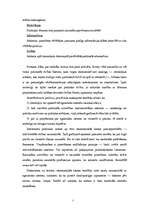 Referāts 'Viendimensijas pircējs politikas tirgū', 5.