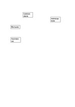 Eseja 'Semiotika. Reklāmas analīze', 5.