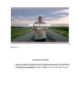 Eseja 'Semiotika. Reklāmas analīze', 6.