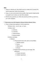 Konspekts 'Prozas analīze', 4.