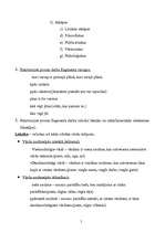 Konspekts 'Prozas analīze', 5.