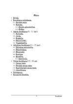 Referāts 'Feodālisms', 2.