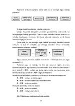 Referāts 'Grāmatvedības uzskaites kārtošana zemnieku saimniecībā', 20.